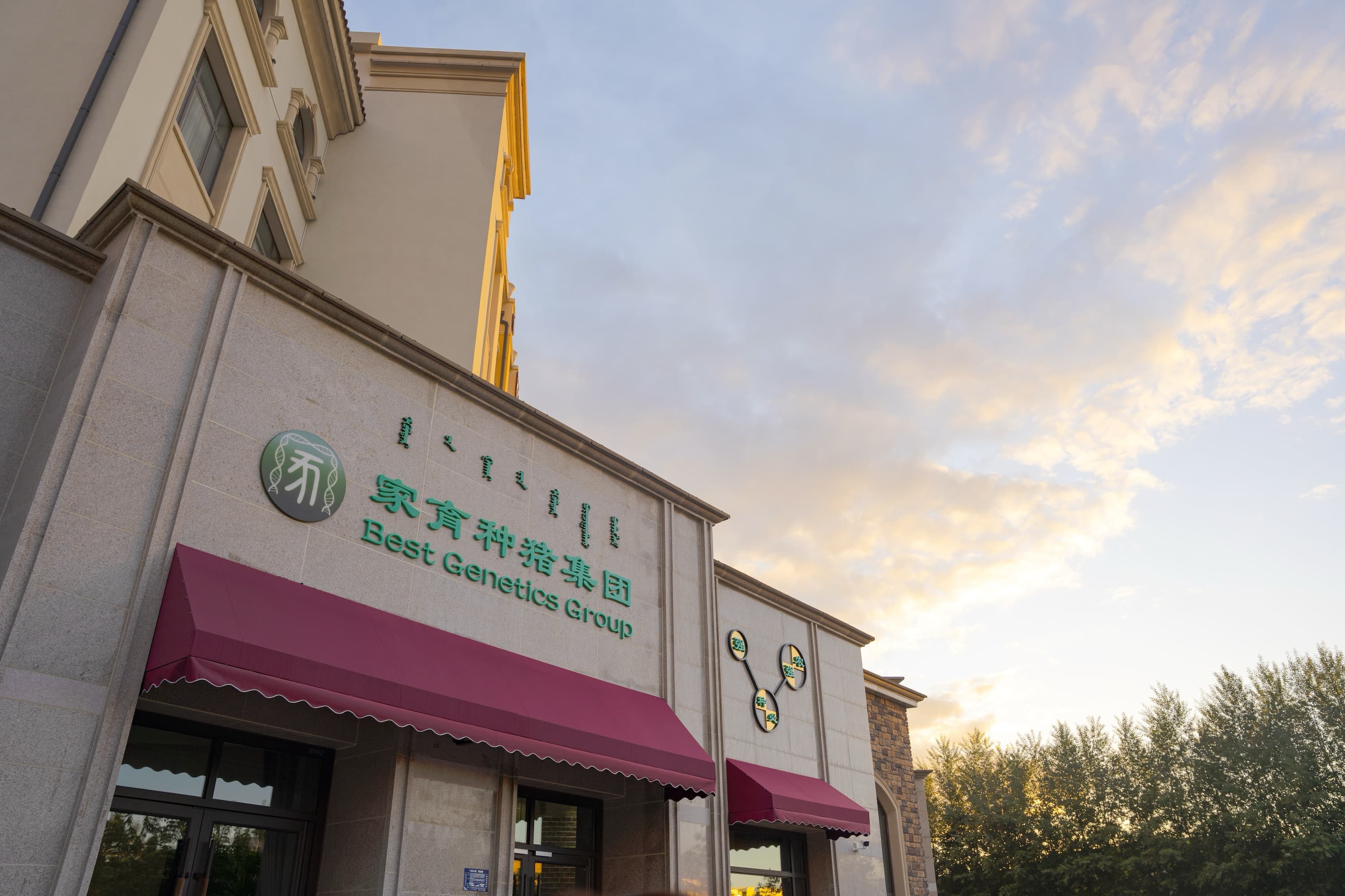 研发与创新