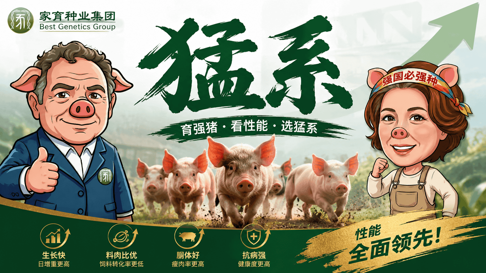 毛区健丽解析猛系种猪：以精准数据驱动本土育种创新