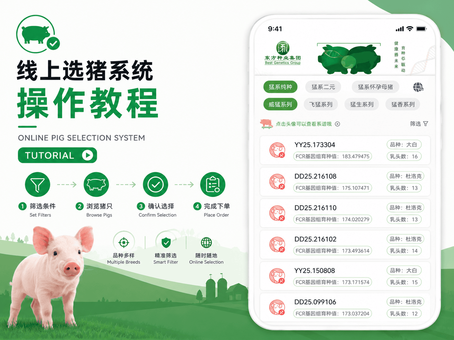 家育猛系小程序：线上透明精准选购种猪